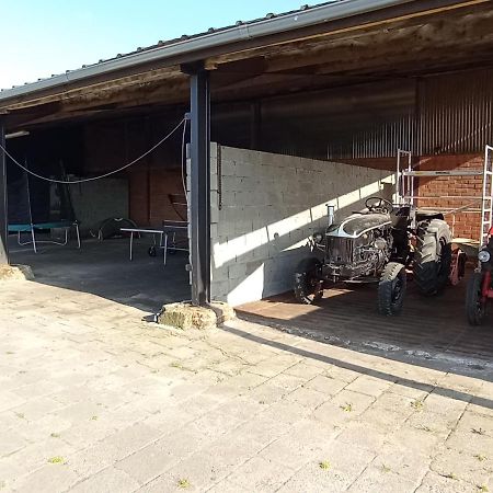 Natuur-Like Glamping In Bosland NeerNeerpelt Eksteriør bilde