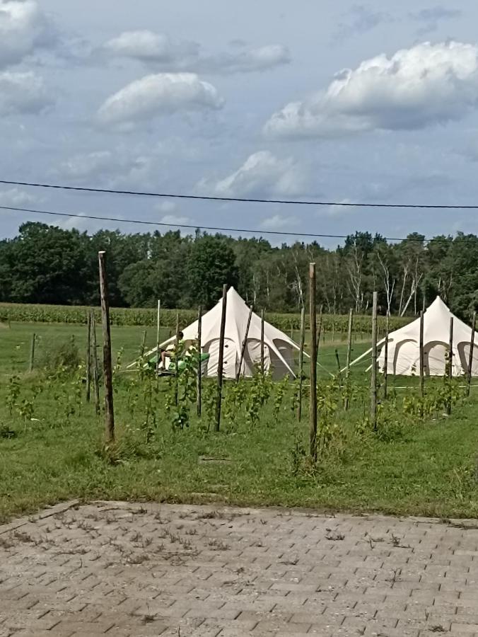 Natuur-Like Glamping In Bosland NeerNeerpelt Eksteriør bilde