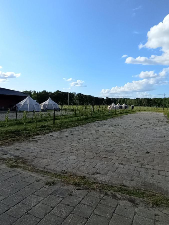 Natuur-Like Glamping In Bosland NeerNeerpelt Eksteriør bilde
